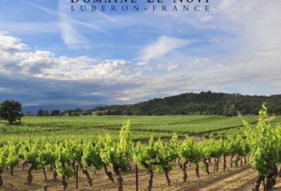 Domaine Le Novi