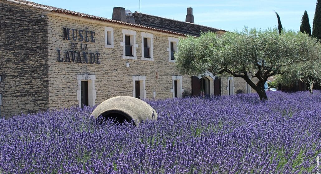 Musée de la Lavande