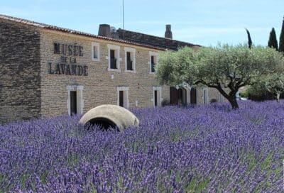 Musée de la Lavande