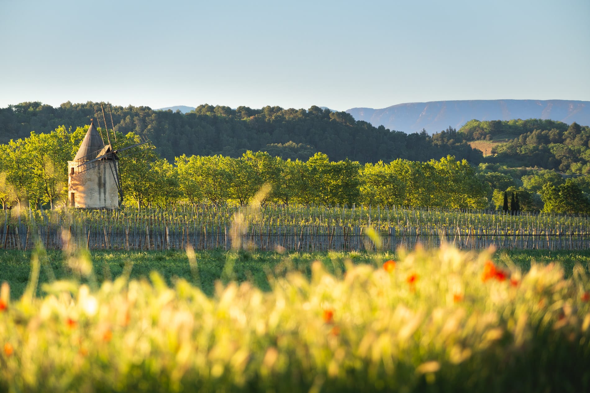 Moulin de Sannes - Slow tourisme