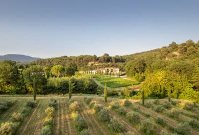 Dégustation à la Bastide du Laval