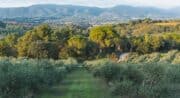 Dégustation à la Bastide du Laval