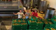 Domaine du Coffre_Pertuis