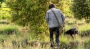 Démonstration de cavage : à la recherche de la reine des truffes : la mélanosporum_Villelaure
