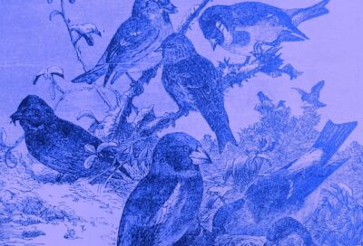Concert : Vent de Printemps !_Grambois