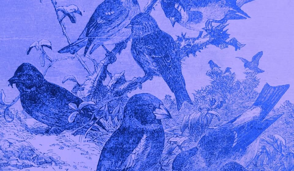 Concert : Vent de Printemps !_Grambois