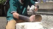 Fête Médiévale à La Bastide des Jourdans : L'histoire des 800 ans des limites du village_La Bastide-des-Jourdans