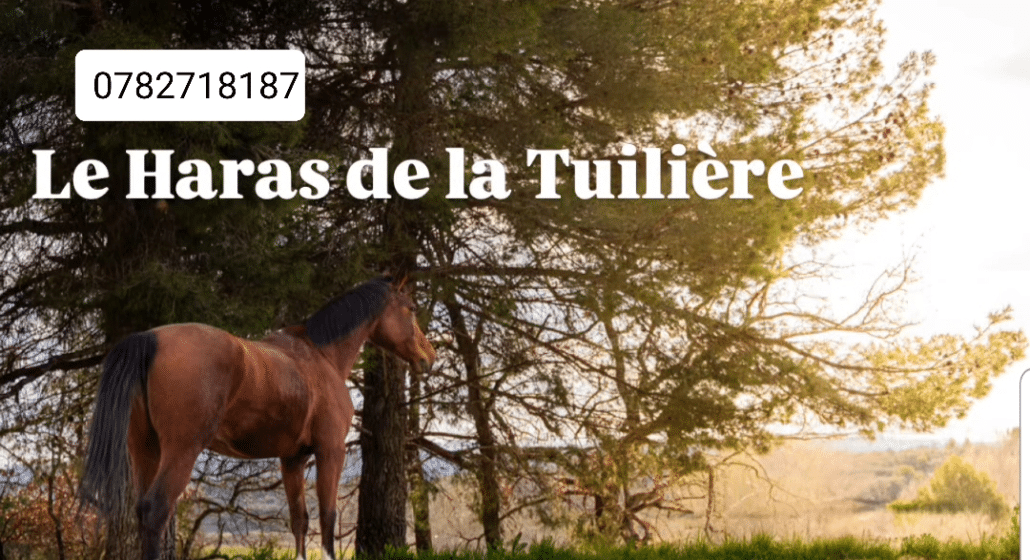 centre équestre haras de la Tuilière