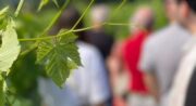 Apéro avec Vue 2025