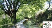 Promenade du canal de Pertuis