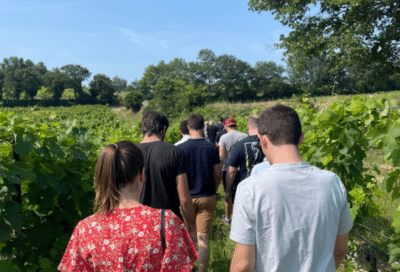 Au coeur du vignoble au Domaine  » Le Novi »_La Tour-d’Aigues