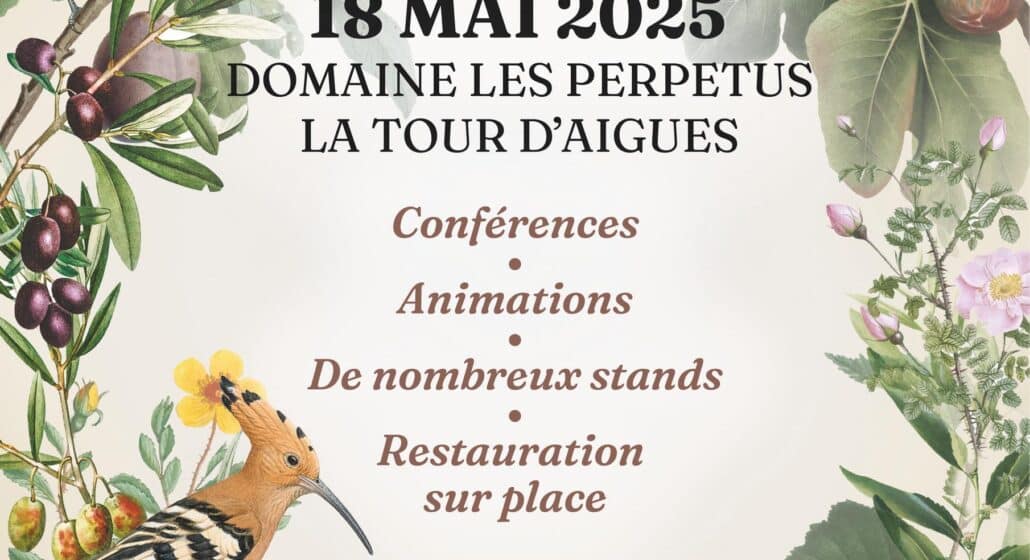 affiche