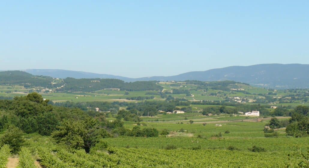 Sortie buissonnière "Vignes et écologie"_La Tour-d'Aigues