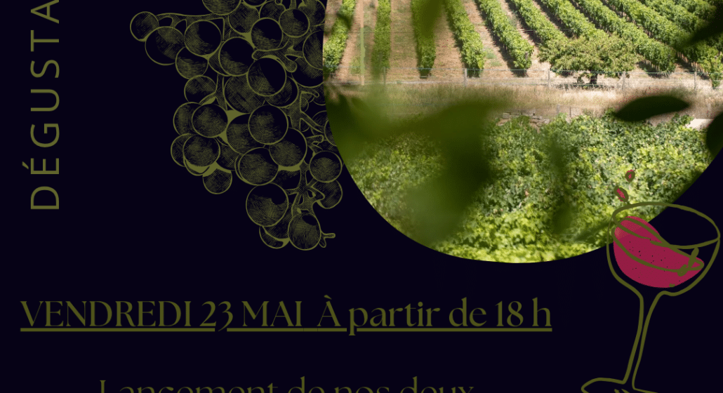Lancement nouvelles cuvées au Domaine du Collet Vert_Pertuis