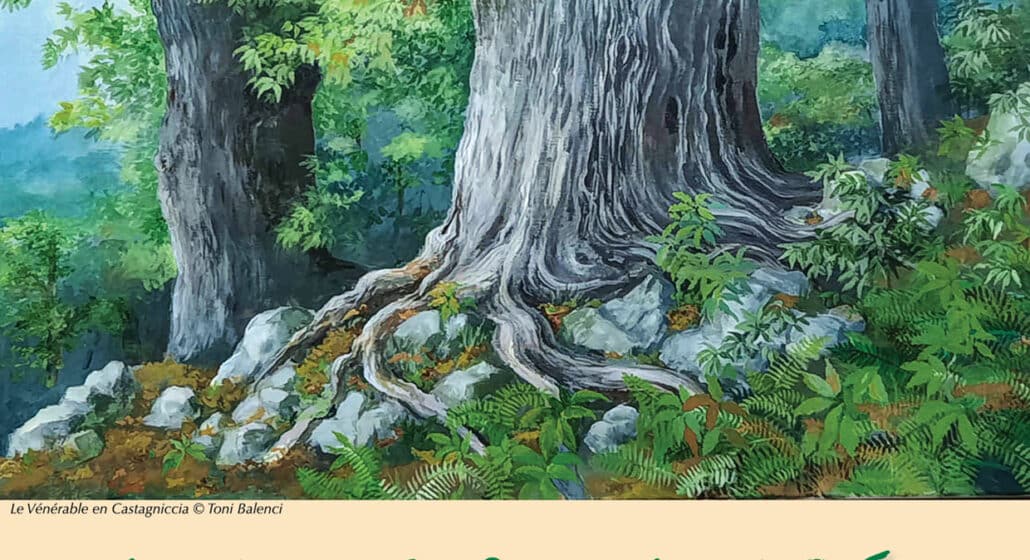 Exposition au Sarraié : Racines et Canopée à la Bastidonne_La Bastidonne