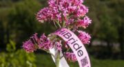 Les soirées de l'été à la ferme HiBride : Soirée Echo_Villelaure