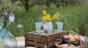 Picnic en Luberon – À l'ombre des Oliviers