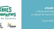 Balade naturaliste "À la rencontre de la biodiversité" Lauris_Lauris