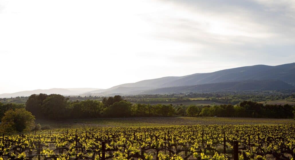 Le Temps du Terroir