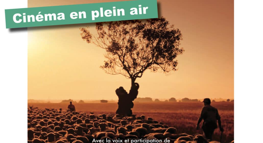 Le Cigalon :  Cinéma Plein air : LES DERNIÈRES GRANDES TRANSHUMANCES_Vitrolles-en-Lubéron